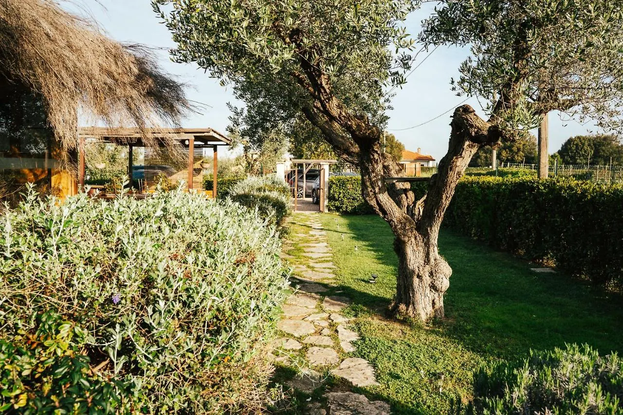 Séjour à la ferme Agriturismo Sweet Cottage Marina di Grosseto Italie