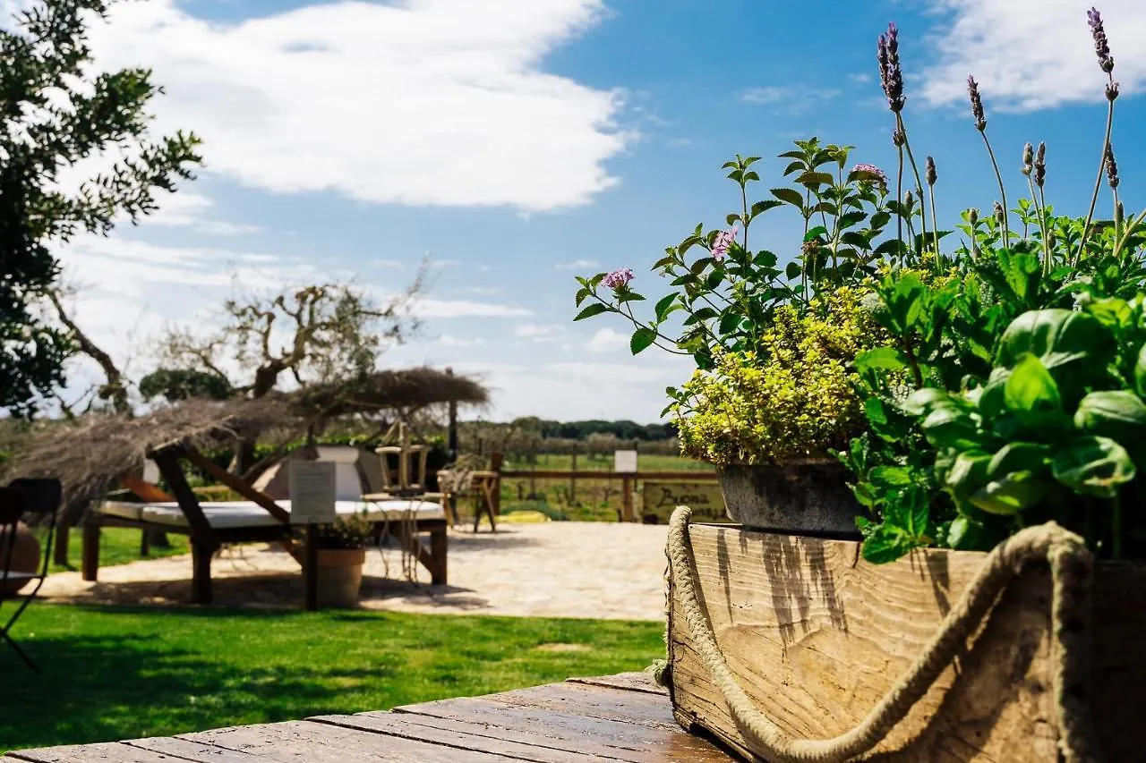 Agriturismo Sweet Cottage Marina di Grosseto Italie